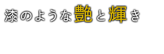 漆のような艶と輝き20年先も乗れる車へ