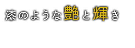 漆のような艶と輝き20年先も乗れる車へ